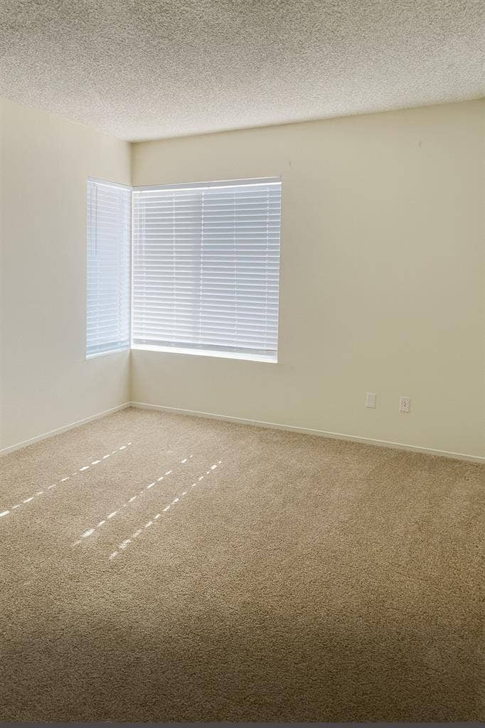 Room for Rent Near CSUSM
Oct 1st
