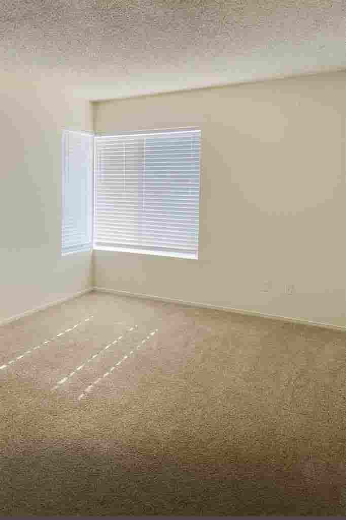 Room for Rent Near CSUSM 
Oct 1st