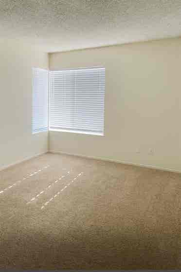 Room for Rent Near CSUSM 
Oct 1st