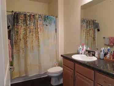 Looking for roommate