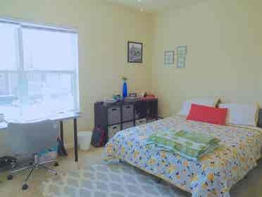 Looking for roommate