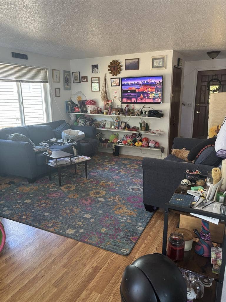 Looking for 2 Roommates:)