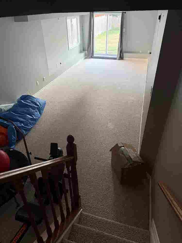 Bright and spacious basement