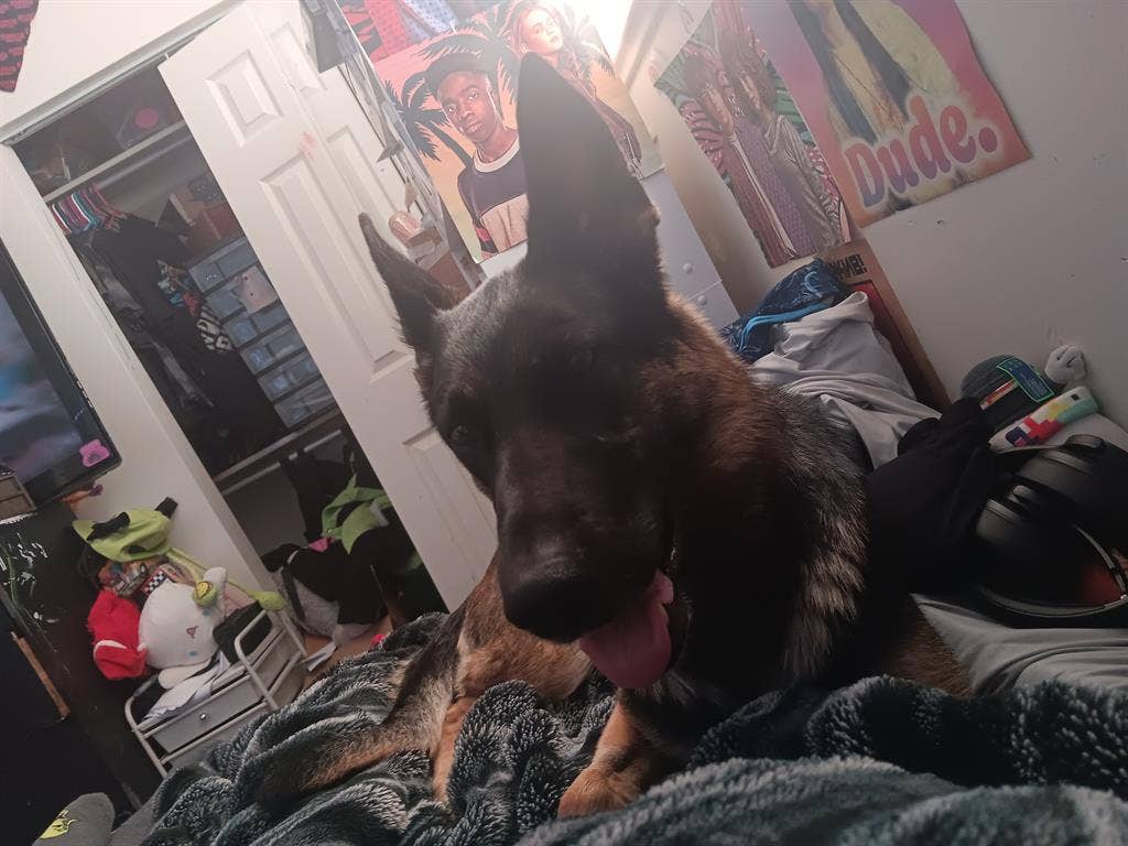 Looking for roomates!