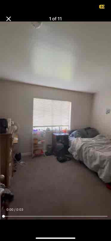 Two Roommates Needed