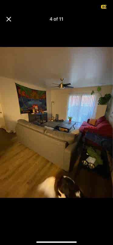 Two Roommates Needed