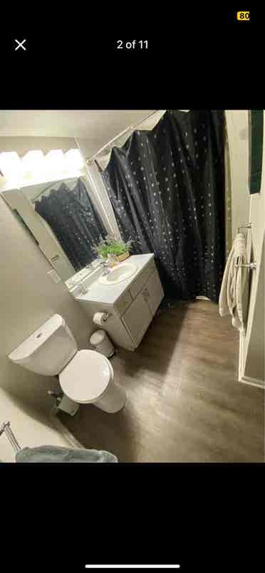 Two Roommates Needed