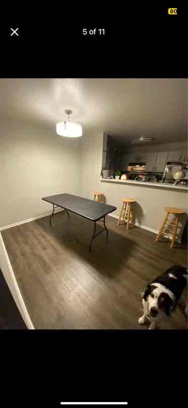 Two Roommates Needed
