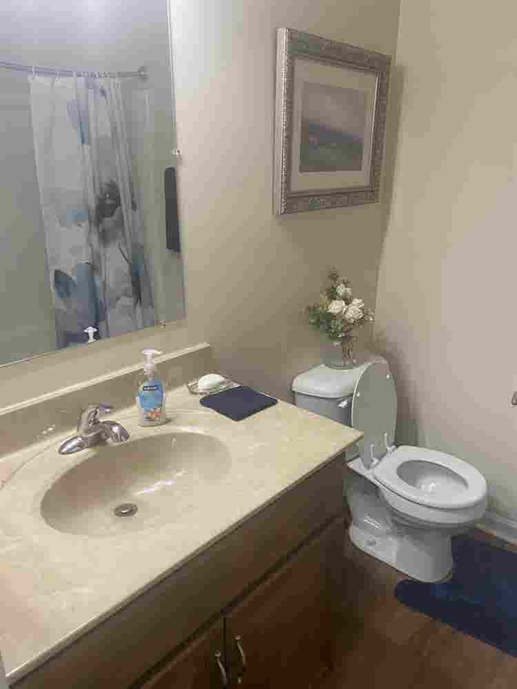 Furnished 3Br Condo. Female only.