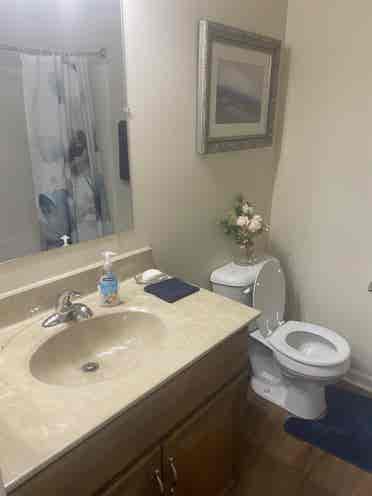 Furnished 3Br Condo. Female only.