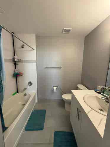 1 spacious room available