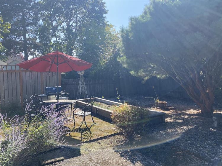 $
5 room open starting Sept !