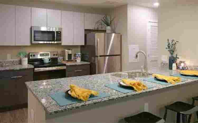 Girl Roommate Needed!
