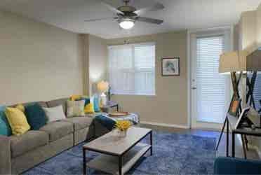 Girl Roommate Needed!