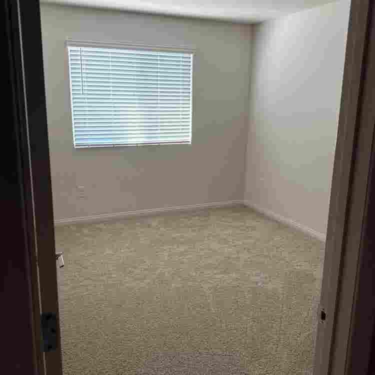 In search for a roommate!