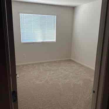 In search for a roommate!