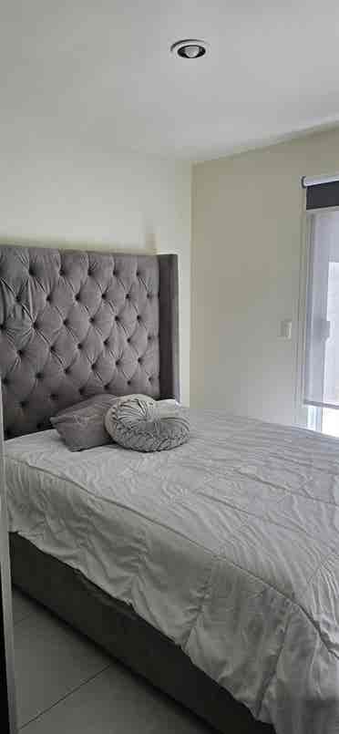 Nice Room in TJ Apartment ✨️