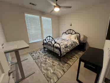 Roommate Needed!