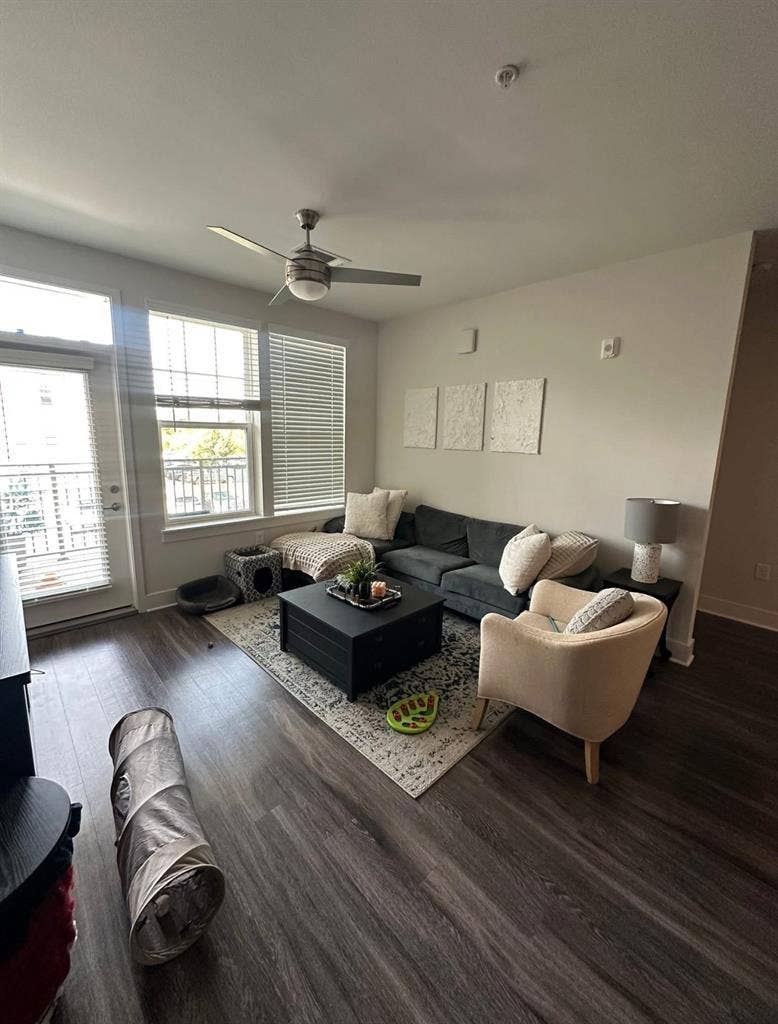 Roommate Needed!