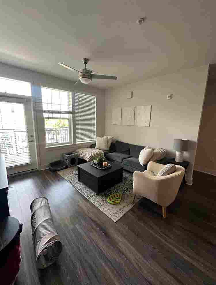 Roommate Needed!