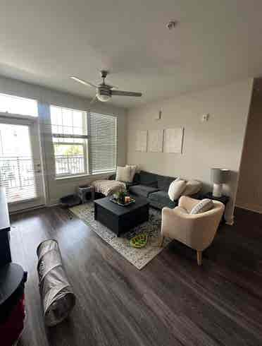 Roommate Needed!