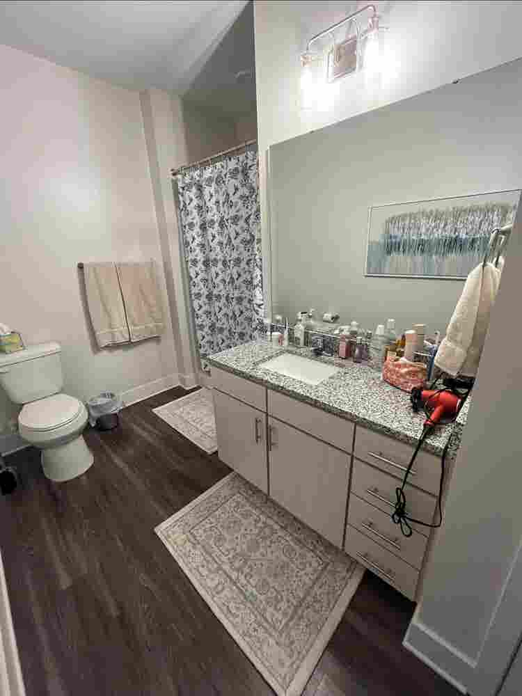 Roommate Needed!