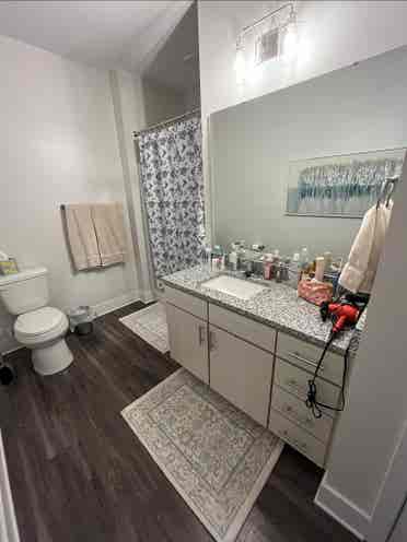 Roommate Needed!