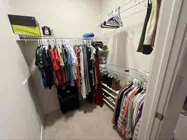 Roommate Needed!