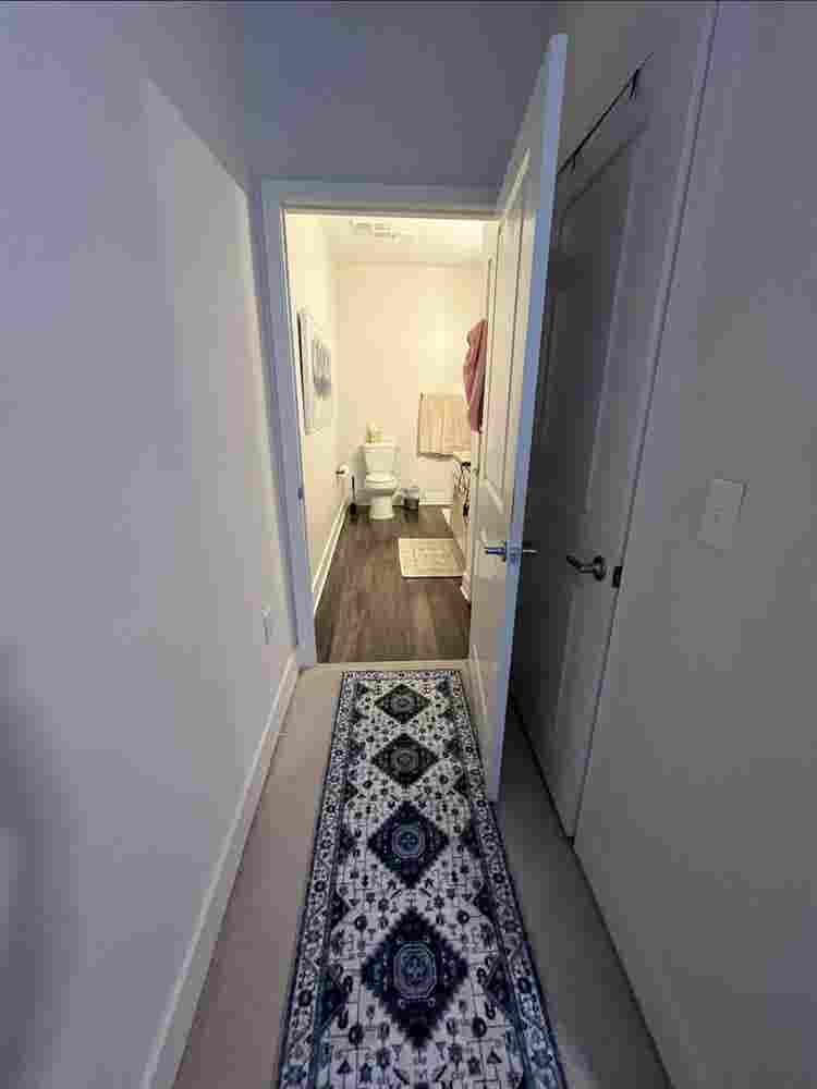 Roommate Needed!