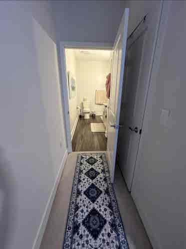 Roommate Needed!