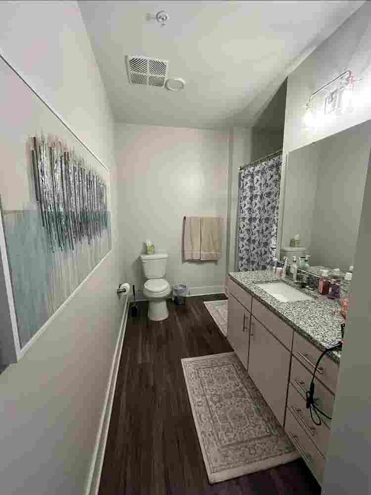 Roommate Needed!