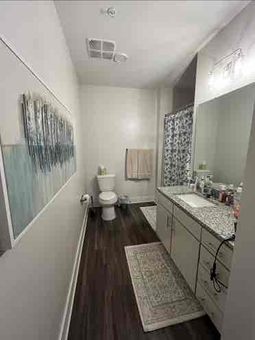 Roommate Needed!