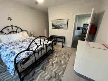 Roommate Needed!