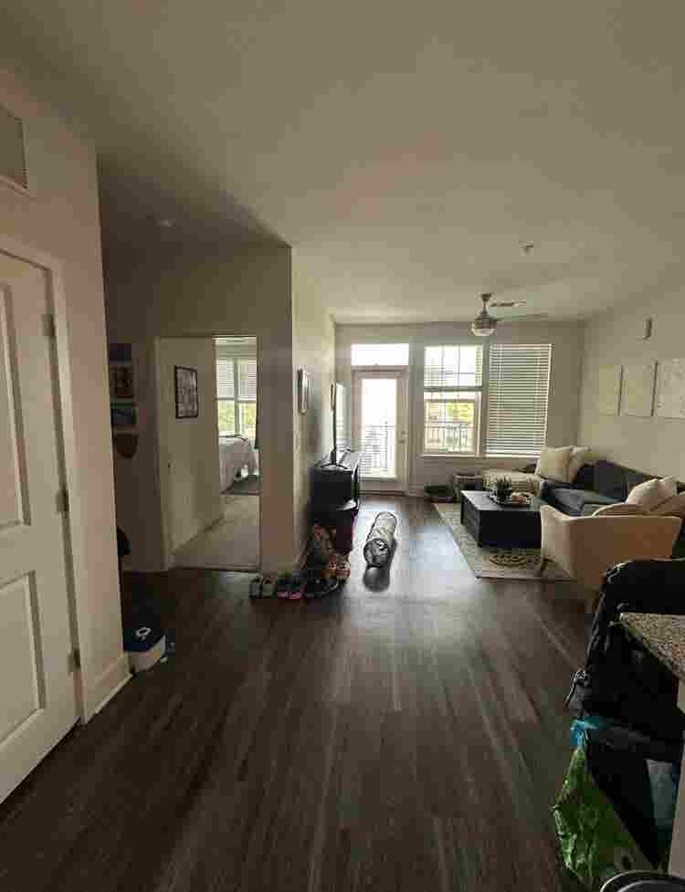 Roommate Needed!