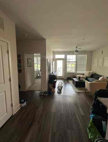 Roommate Needed!