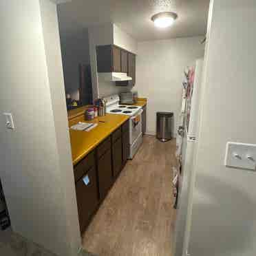 ISO ROOMMATE!
