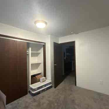 ISO ROOMMATE!