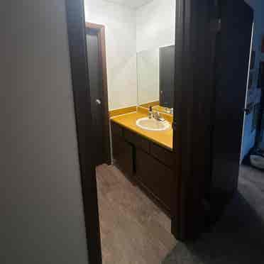 ISO ROOMMATE!
