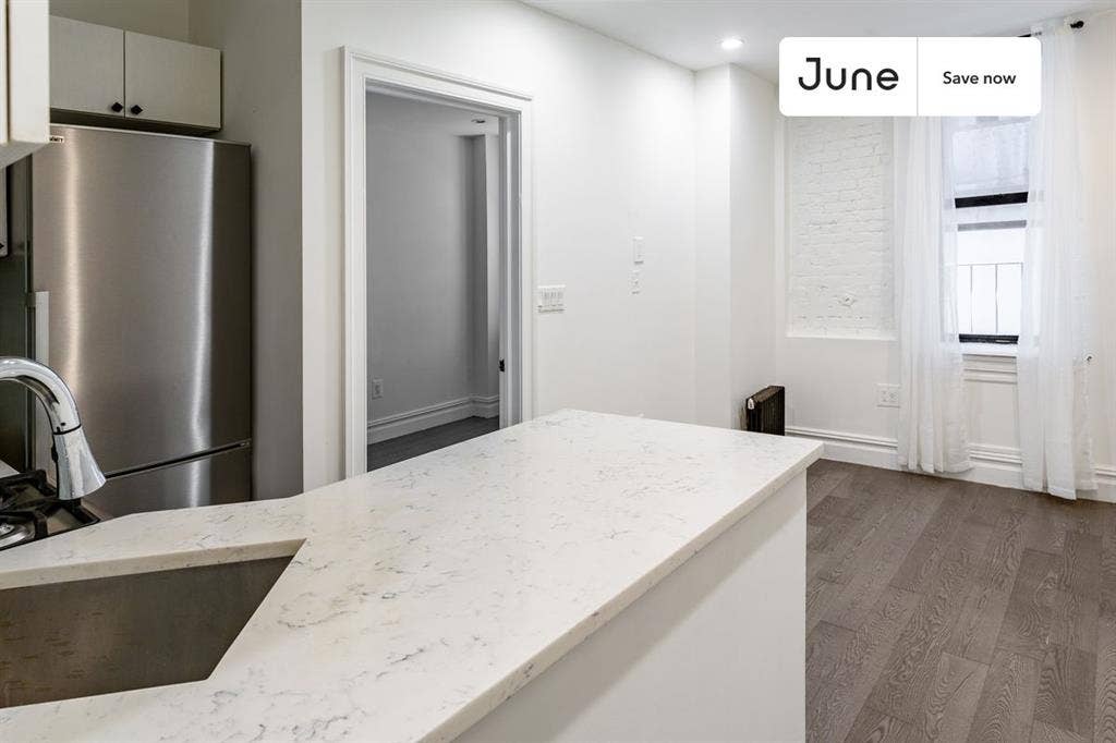 1 BR in New York City