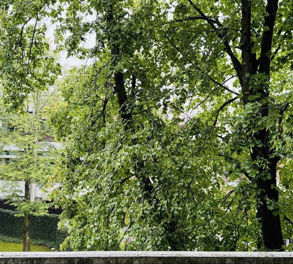 Schönes WG Zimmer mit Balkon