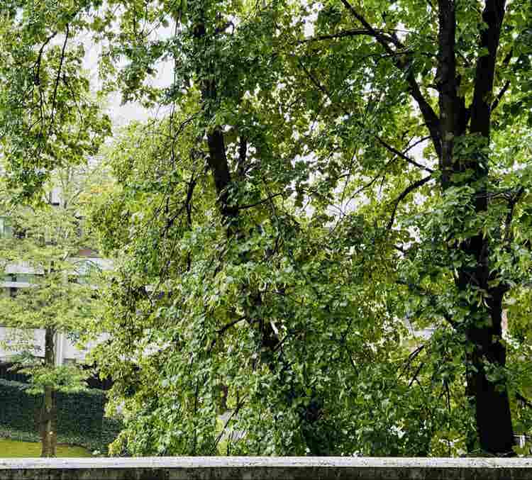 Schönes WG Zimmer mit Balkon