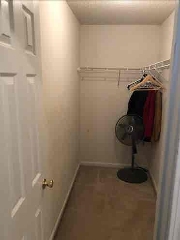 Comfortable furnished room