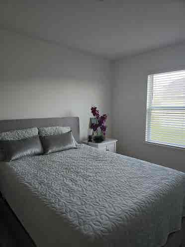 Room in Quiet Home $/month
