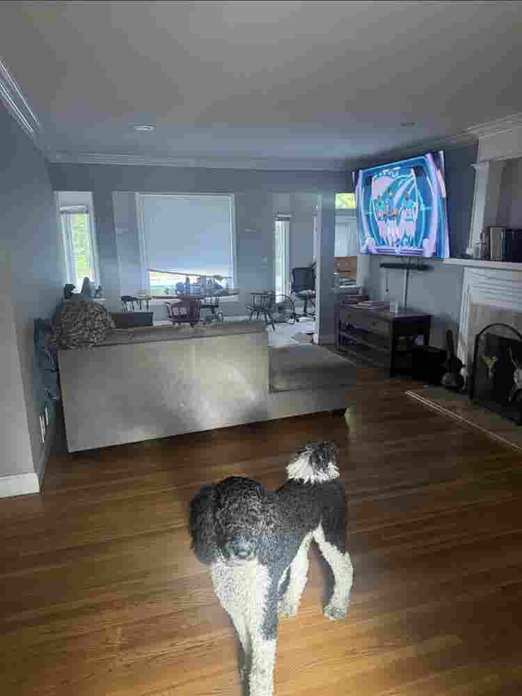 Looking for 1 roommate. 4 bedroom