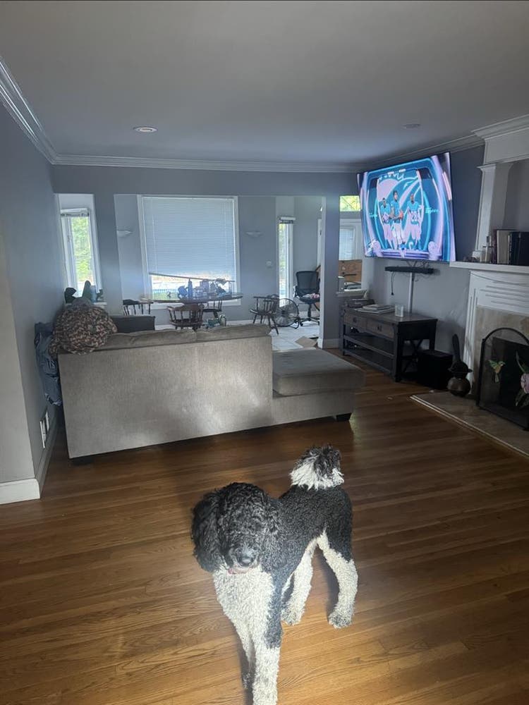 Looking for 1 roommate. 4 bedroom