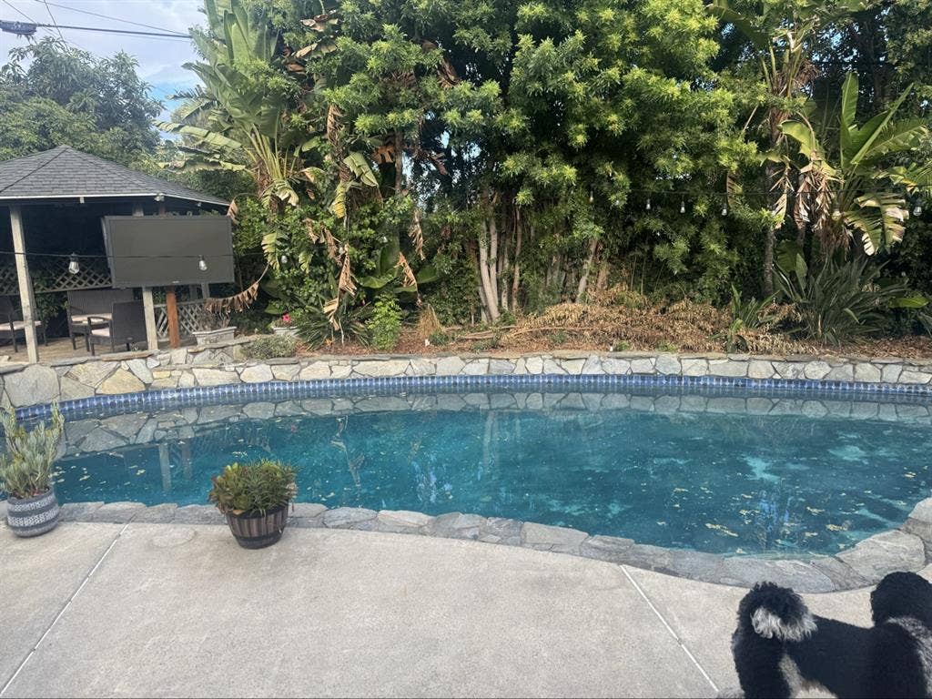 Looking for 1 roommate. 4 bedroom