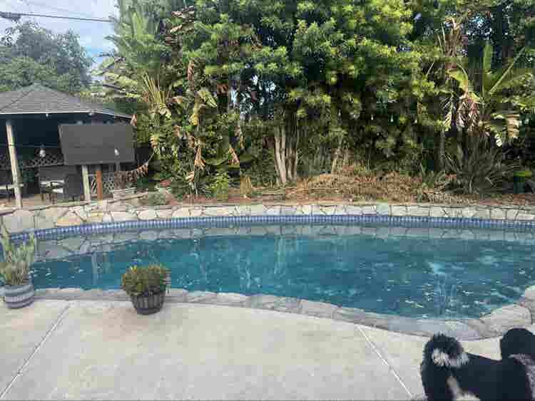 Looking for 1 roommate. 4 bedroom