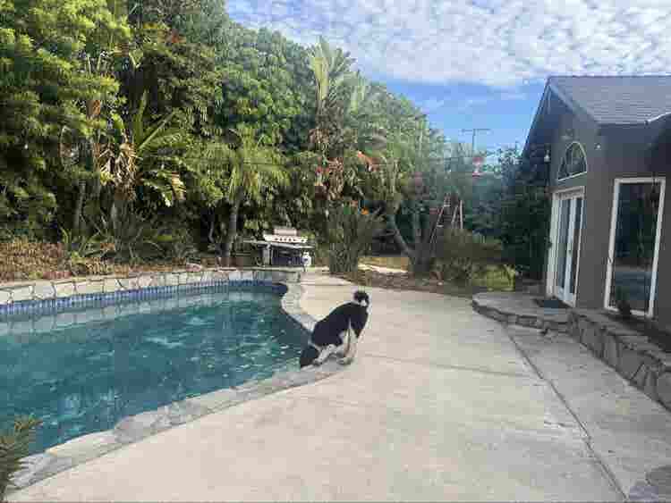 Looking for 1 roommate. 4 bedroom
