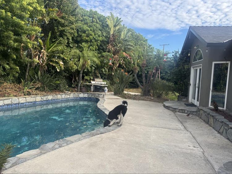 Looking for 1 roommate. 4 bedroom