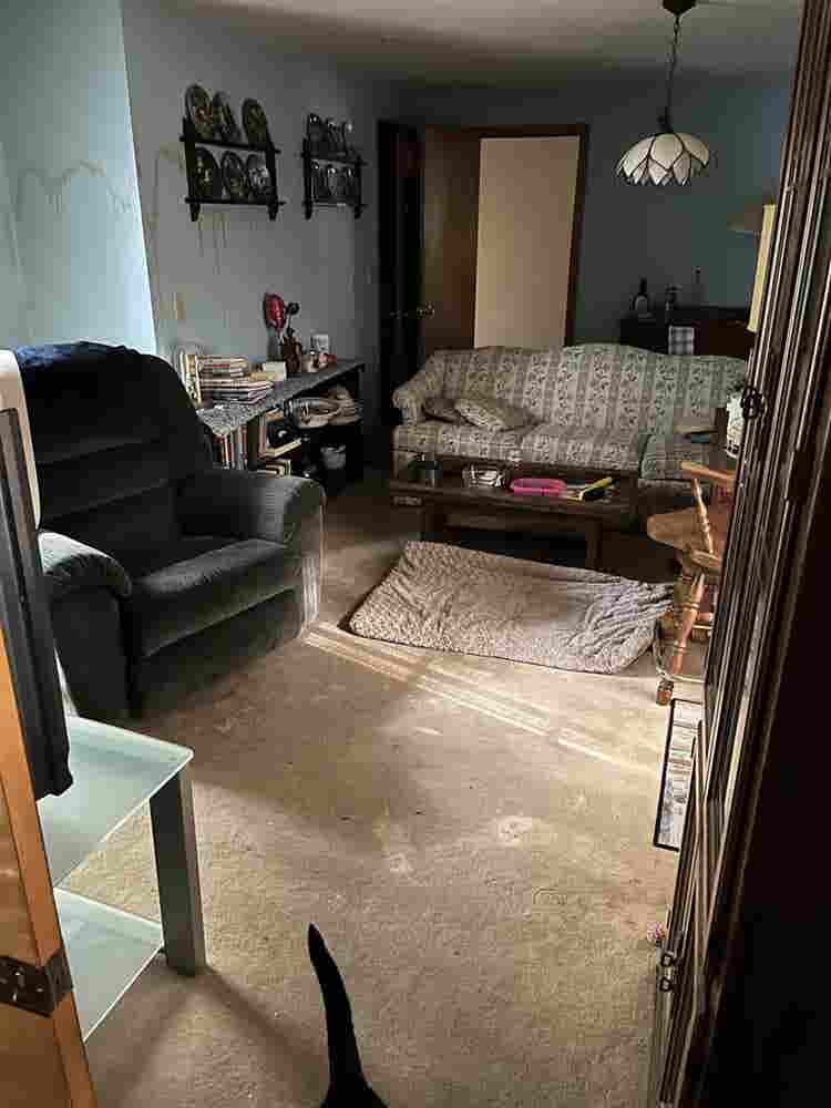 Looking for a roommate, great place